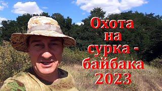 Охота на сурка - байбака 2023. Лучшие моменты!