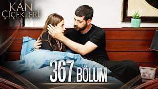 Kan Çiçekleri 367. Bölüm