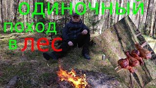 Одиночный поход .Бушкрафт.Куриный шашлык.Solo trip to the forest.Bushcraft.Chicken skewer/