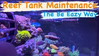 Reef Tank Maintenance & Some Be Eazy Tips | Ep.34