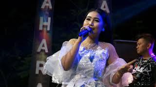 PAMER BOJO   WINA DARISTA - NEW SAHARA - Cibiyuk Petarukan Pemalang, AGUSTUS 2019