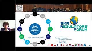 Webinar 89: Regulatory Activities in support of SMRs and Advanced Reactor Systems