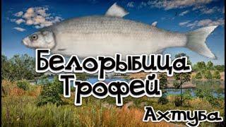 РР4 / Белорыбица / Трофей / Ахтуба