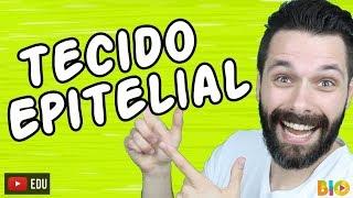 TECIDO EPITELIAL - HISTOLOGIA - Aula | Biologia com Samuel Cunha