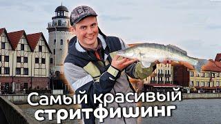 Самая красивая рыбалка в городе / Судак и окунь весной на спиннинг c берега / Рыбалка в Калининграде