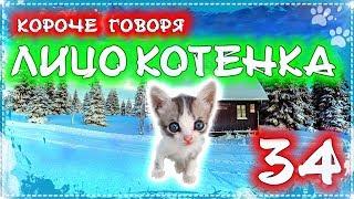 КОРОЧЕ ГОВОРЯ, ЛИЦО КОТЕНКА 34 [От первого лица] Бездомный котенок Лайки супер герой