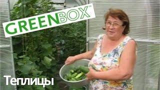 Недорогая теплица из поликарбоната GreenBox