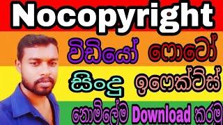 How to download copyright free / Royalty free vedio, photo, music and more in sinhala | Tech Tricks