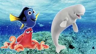 Finding Dory Finger Family Song for Babies