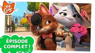 44 Chats | ÉPISODE COMPLET | Snobine, la Chatte Snob