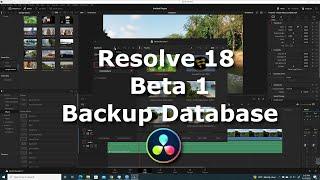 Resolve 18 Beta |  Backup Database