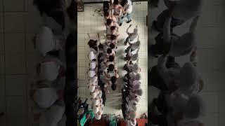 Contoh Video Kreatif || Paling Keren || Musik Dj Gak Pake Lama #jj #viral #anaksma
