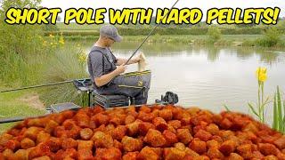 Boring But Effective! | Short Pole Fishing With Pellets