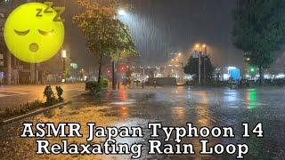 Japan Typhoon 14 Rain Loop for Relaxation 2021.09.18 ASMR Ambient Sound Sleep Meditate Tokyo Suburb