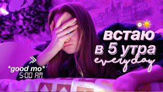 ВСТАЮ В 5 УТРА КАЖДЫЙ ДЕНЬ *help*