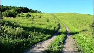 Садовка Новобурасский район. Nature of Russia.