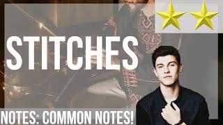 SUPER EASY: How to play Stitches by Shawn Mendes on Tin Whistle (Tutorial)