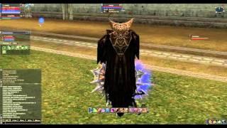 Lineage 2 Soultaker Olympiad C4 (Elite -  Necromancer ) HeRoEs - Stormfang