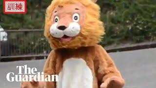 Footage of 'lion' escaping from Japanese zoo goes viral