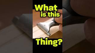 DISCOVER THIS!  #shorts