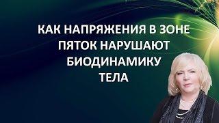 Как напряжения в зоне пяток нарушает биодинамику тела Метод Надежды Лоскутовой.