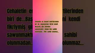 Bir fikriniz olsun...