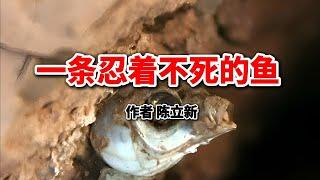 勵志散文：一條忍著不死的魚，作者：徐立新