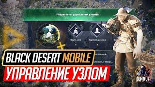 Black Desert Mobile - Гайд по управлению узлом в BDM. Рабочие, прибыль, секретные узлы.