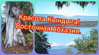 Прогулка по Кындыгу. Абхазия удивляетКрасота и разруха. Октябрь2023.12ч.#абхазия2023