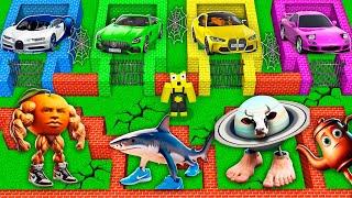 SURVIVAL IN MAZE LA VACCA SATURNO SATURNITA UDIN DIN DIN DIN DUN TA TA SAHUR WITH CAR in Minecraft!