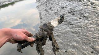 Mudlarking in Kent leads to a golden JACKPOT!