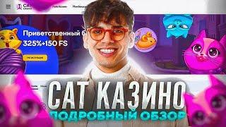 Онлайн казино Cat  Лучшее для удачной игры ️ Онлайн Cat казино 🪙 Онлайн казино Cat обзор