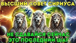 ️ Последний шаг перед Вечностью. НЕ СДАВАЙСЯ СЕЙЧАС  Послание от Высшего Совета Сириуса