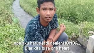 Kumpulan kata kata lucu