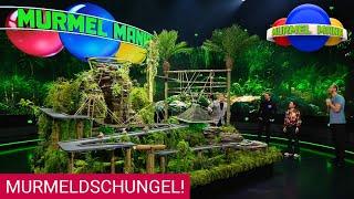 Eine besondere Dschungelprüfung: Dschungel-Bahn | Murmel Mania - Folge 02 - 18.05.2021