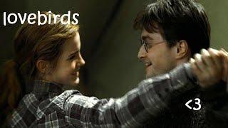 Harry caring for Hermione for 6 minutes straight