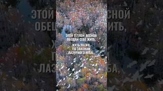 Обещай себе жить #shortsvideo #рек #цитаты #стихи #поэзия #нежность #еленапесочина #жизнь