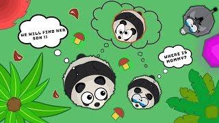 Will The PANDA FAMILY RE-UNITE in MOPE.IO / MOPE.IO STORY PART 3