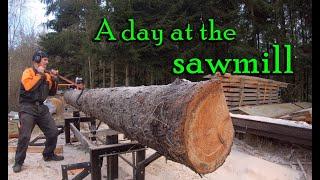 Sawing boards on a Logosol M8 sawmill equipped with the E5 speedsaw