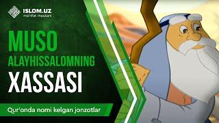 11. Muso alayhissalomning hassasi (1-qism) | Qur'onda nomi kelgan jonzotlar