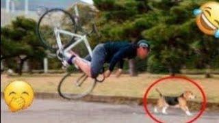 Funny Videos Compilation  Pranks - Amazing Stunts - By  BEST FUNNY CHANNEL #11