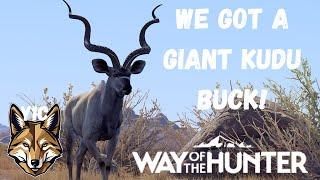 Holy Hunt! Greater Kudu 5-Star! | Way of the Hunter