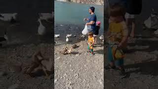 Rafisah Dam View/Fujairah/Beautiful Dam/#dubaiview #dubai#fujairahuae
