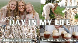 NEW Day in my Life/ Sourdough Flower Pot Bread, Planting Hydrangeas, Matching Dresses,  Gardening