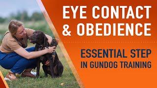 Eye Contact & Obedience - Essential Step in Gun Dog Training