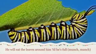 The Tiny Caterpillar Song, Songs for Early Years, Foundation Stage, Spring/Summer,