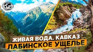 Живая вода. Кавказ | @rgo_films | Лабинское ущелье