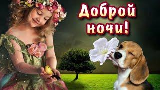 Доброй ночи!🪷Нежное пожелание спокойной и доброй ночи.🪐🫧