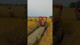 Mahindra Yuvo Tech Plus 585di 4wd #youtubeshorts #tractor #shots #farming