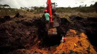 Randell & Young Swamp Kauri Excavators